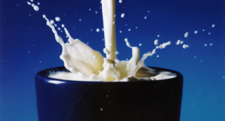 Mennyi kalória van egyes tejtermékekben? - kalkulátor