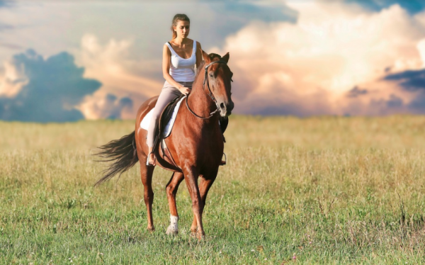 Mennyibe kerül saját lovat tartani és lovagolni?