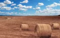 Agrárbiztosítási díjtámogatás 2025 igénylése