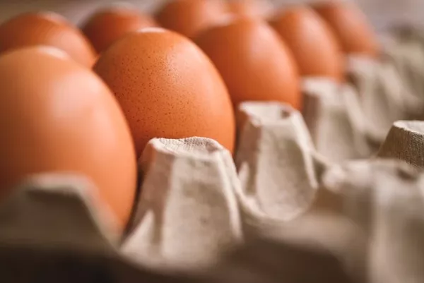 A tojás káros vagy egészséges az emberi szervezetnek? Tojás élettani hatása a tudomány szerint