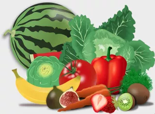 Ócsáról a világ zöldségtermesztésébe: a Syngenta kísérleti állomásán születnek a jövő zöldségfajtái