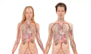 Közgyógyellátás 2027: ki kaphatja meg, mire használható és hogyan indul a közgyógy igénylése?