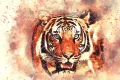 Kínai horoszkóp Tigris 2024 - Mire számíthatnak a Tigris jegyűek 2024-ben?