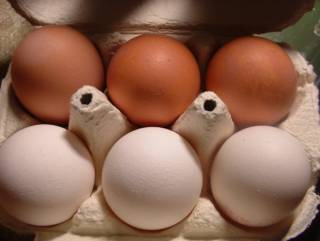 125 ezer tojást vontak ki a forgalomból