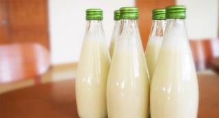 Óriási marketingkampánnyal fogják népszerűsíteni a magyar tejet
