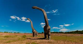 Dinoszauruszokkal találkozhatunk a Veszprémi állatkertben