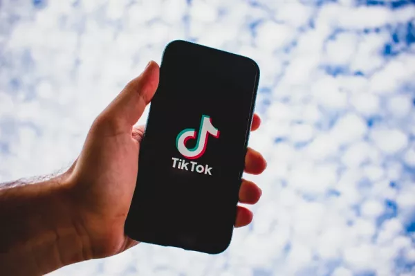 TikTok dovnloader működése, TikTok videó letöltő 