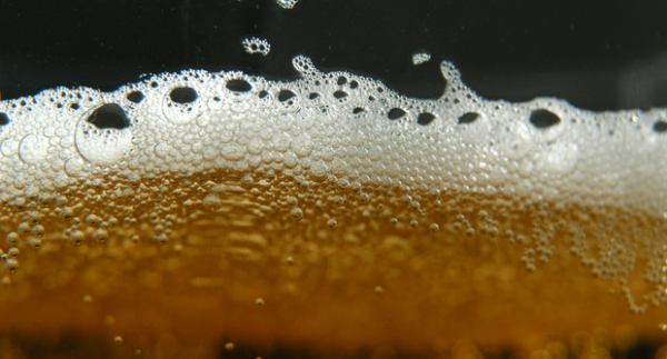 Csak iszod a sört, vagy tudod is, hogy mit iszol egyáltalán?