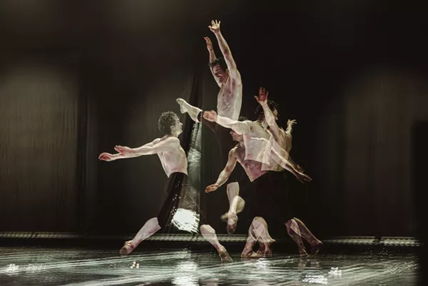 A Művészetek Völgye az év fenntartható művészeti kezdeményezése