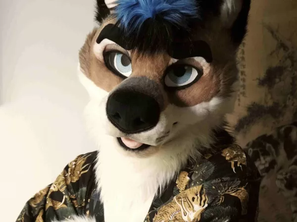 Csillag Születik: debütált Yamazaki döntőre szánt dala