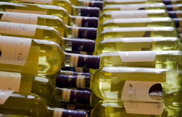 Fehérborok világa: frissesség és sokszínűség