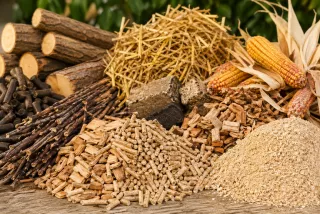 Biomassza: a rejtett energiahordozó, amely befolyásolja a villamos energia árát is