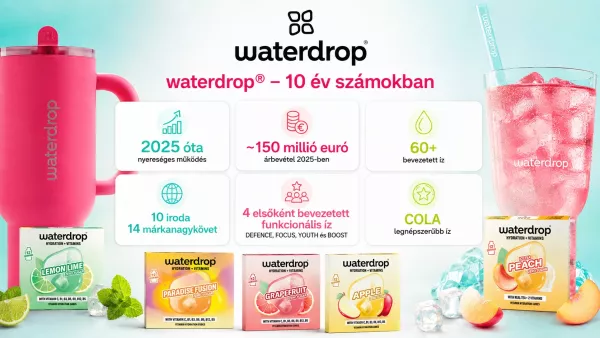 Waterdrop 10 év számokban infografika 2.