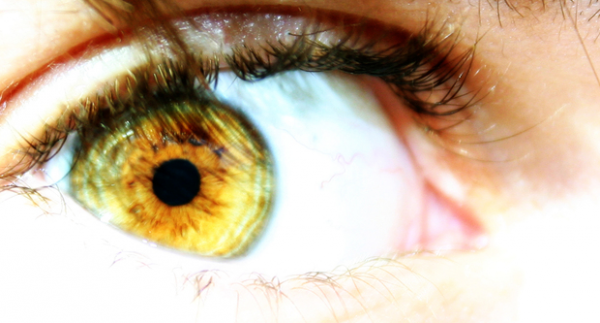Milyen színű lesz a gyermek szeme a szülők szeme alapján?